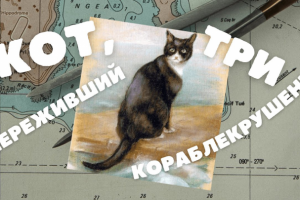 Кот, который пережил три кораблекрушения
