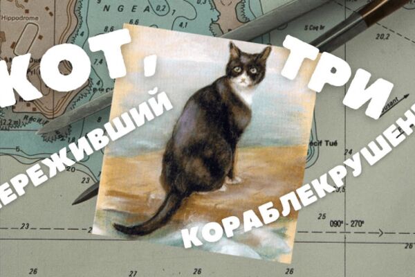 img4331574.png