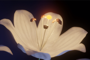 Анимация с музыкой