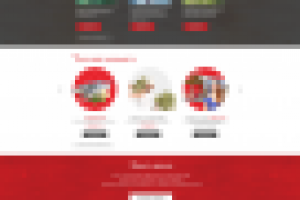 Работа 2887227