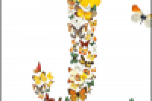 салон красоты