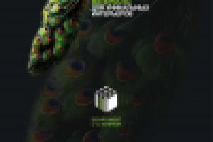 Депортамент интерьеров