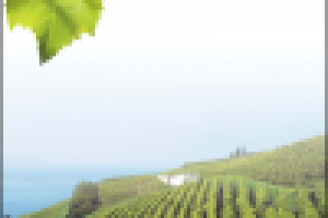 Егорьевский