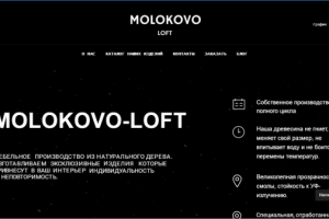 molokovo-loft.ru