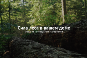 Сайт под ключ