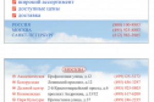 Визитная карточка сети аптек «Ноль Три Плюс»