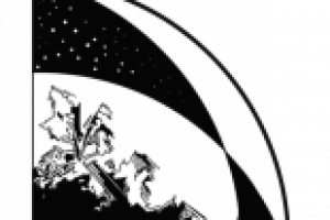 Пожар в ночном лесу