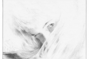 Незнакомка