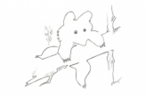 Медведь в лесу