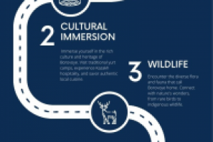 Боровое инфографика