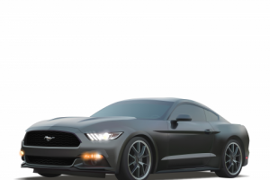 Векторные иллюстрации в стиле реализм