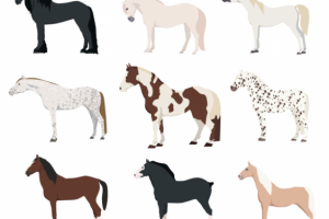 Флет иконки