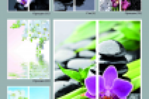 Каталог (страница)