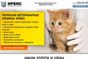 Пермская ветеринарная клиника "Ирбис"