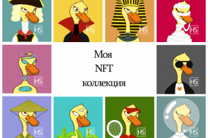 Моя коллекция NFT