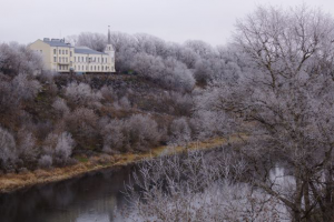 Морозное утро