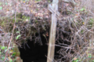 Мистика today