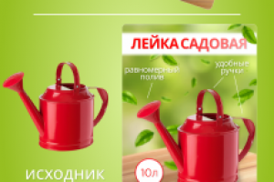 Инфографика (ДЛЯ ДОМА)