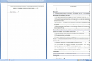 Годовая бухгалтерская отчетность организации