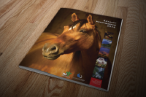 Работа 2718206