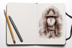 Работа 2716553