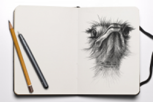 Работа 2716333