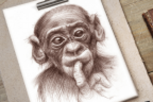 Работа 2716522