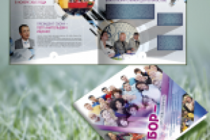 Работа 2715831