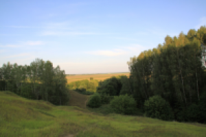 Работа 2741942