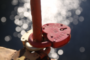 Работа 2718342