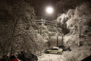 Работа 2718341