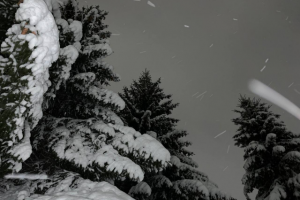 Работа 4444064