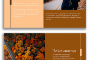 Презентация с осенних цветах