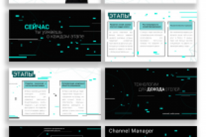 Деловая презентация