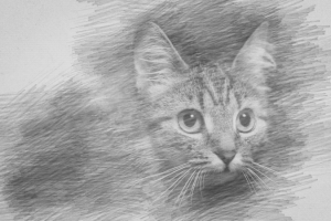 Эффект 'Рисунок карандашом'