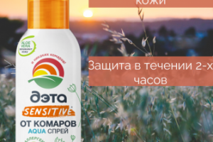 Инфографика