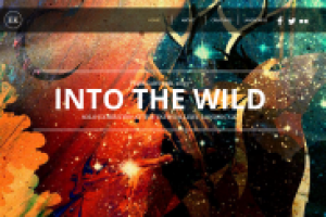 Сайт для АРТ-события