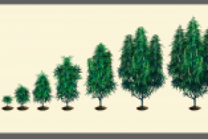 соц игра объект рост