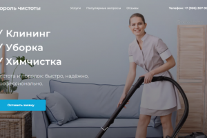 Король Чистоты