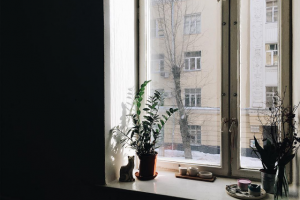 Работа 3517247