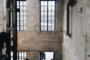 Работа 3517199