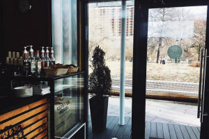 Работа 3517197