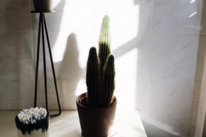 Работа 3517182