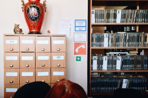 Работа 3517174