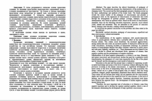 Перевод научной статьи с русского на английский