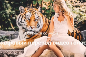 Закадровый перевод видео