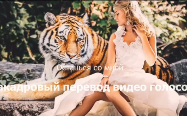 img4442426.png