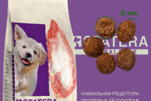 Образец рекламного фото