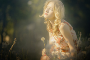 Работа 1377936