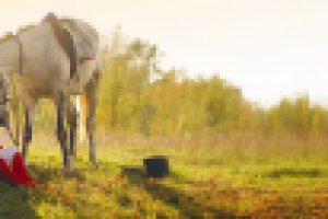 Работа 1377808